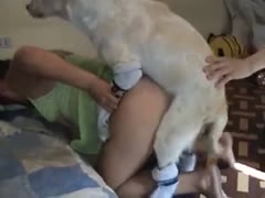 Excited whore lets her stud talk her into 1st bestiality sex collision as that babe acquires group-fucked by K9